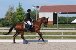 Laurie Ryan and Manchet Montana